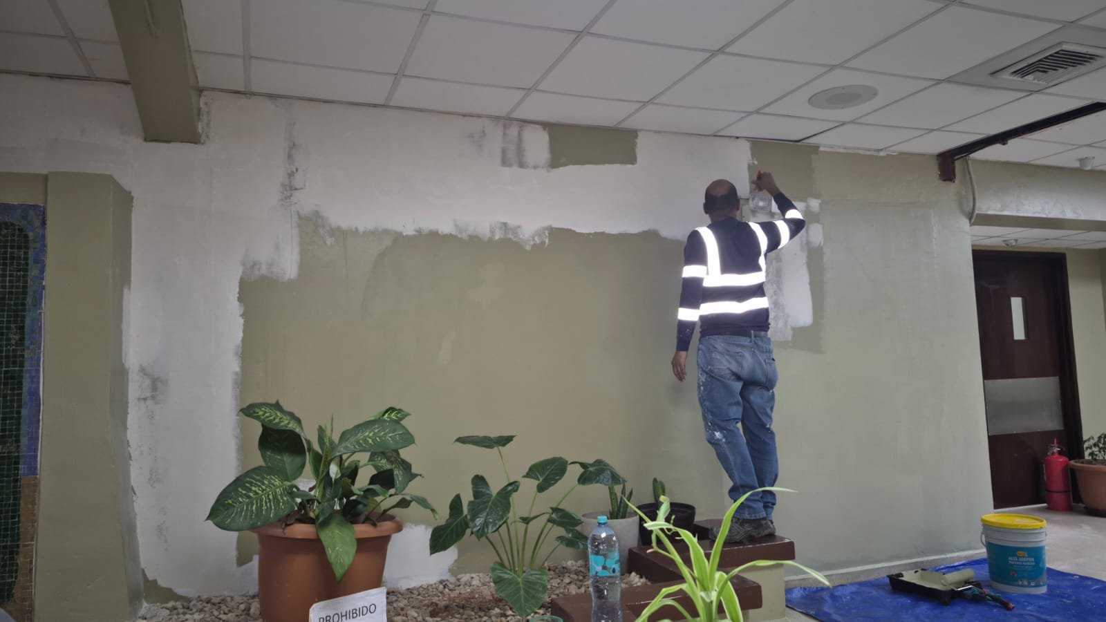 Repintado de vestíbulo institucional con jardinera interior